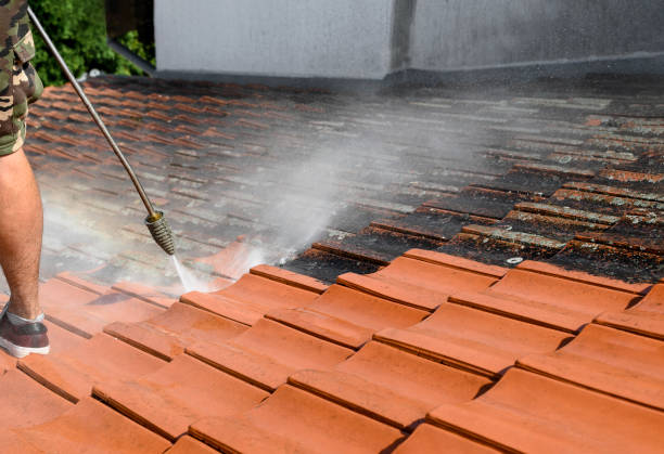 Best Deck Pressure Washing  in Spring Valley, WI
