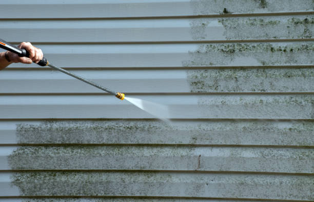 Best Affordable Power Washing  in Spring Valley, WI