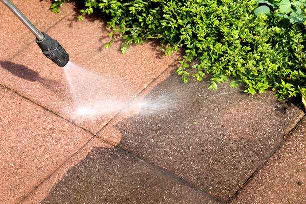 Best Commercial Building Pressure Washing  in Spring Valley, WI
